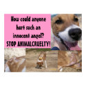 Animal Cruelty Poster posters by sunsett76 Animal Cruelty Poster posters