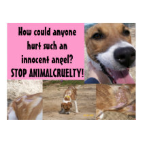 Animal Cruelty Poster posters