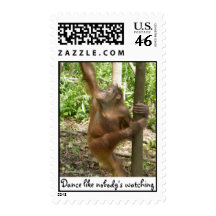 Animal Dance Postage