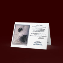 "ANIMAL DECREE" Cards