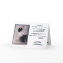 "ANIMAL DECREE" Cards