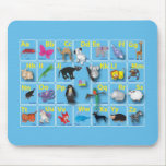 Animal Domain on my ABC mousepads