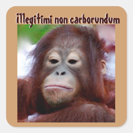 Animal Faces: Illegitimi non carborundum Square Sticker | Zazzle