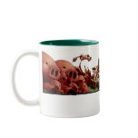 Animal Families Mug