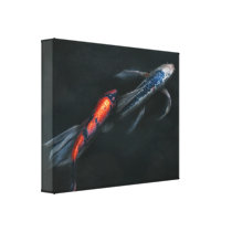 Animal - Fish - Beauty and Grace canvas prints