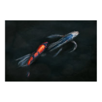 Animal - Fish - Beauty and Grace posters
