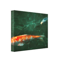 Animal - Fish - Koi - Another fish story canvas prints