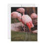 Animal  - Flamingo Hotel - The Flamingo Personalized Invitation
