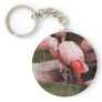 Animal  - Flamingo Hotel - The Flamingo Key Chains
