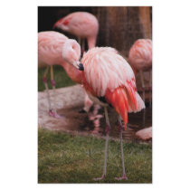 Animal - Flamingo Hotel - The Flamingo stationery by suburbanscenes Animal - Flamingo Hotel - The Flamingo stationery