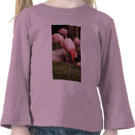 Animal  - Flamingo Hotel - The Flamingo T Shirt