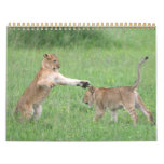 Animal Fun 2012 Wall Calendar