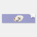 Animal head animal skull bumper stickers