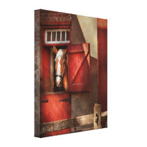 Animal - Horse - Calvins house canvas prints