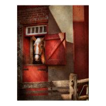 Animal - Horse - Calvins house posters