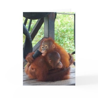 Animal Hugs are Important Cards by Rebecca_Reeder