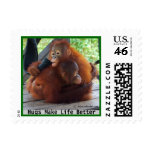 Animal Hugs Are Important Postage Stamps