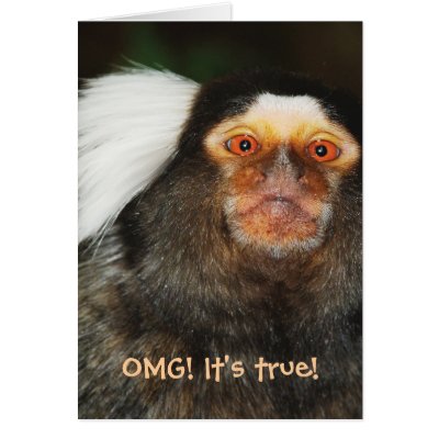 Animal humor funny birthday - 40 / 50 / 60 card by Rowood