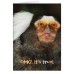 Animal humor funny birthday - 40 / 50 / 60 cards
