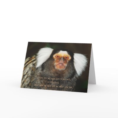 Animal humor funny birthday greeting card by Rowood