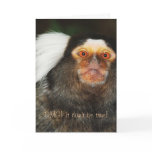 Animal humor funny birthday greeting card