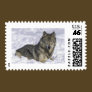 Animal In Snow