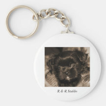 Animal Key Rings Keychain