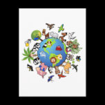 Animal Kingdom postcards