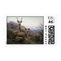 Animal Kingdom Stamps