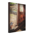 Animal - Lamb - Hello, anybody home Canvas Print