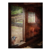 Animal - Lamb - Hello, anybody home posters
