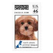 Animal League Stamps by AnimalLeague Animal League Stamps