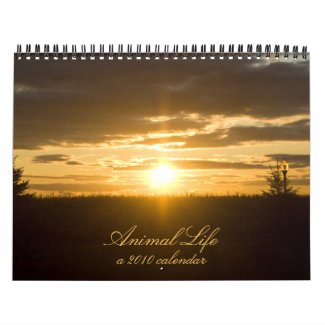 Animal Life 2010 calendar