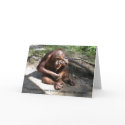 Animal Life Lessons #1 Greeting Cards