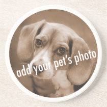 Animal Lover_Add Your pet's photo template coasters