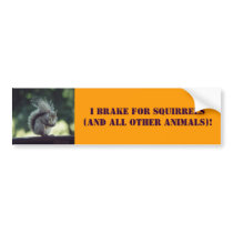 Animal Lover Bumper Sticker