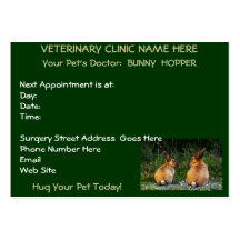 ANIMAL LOVER BUNNY RABBIT Business Card