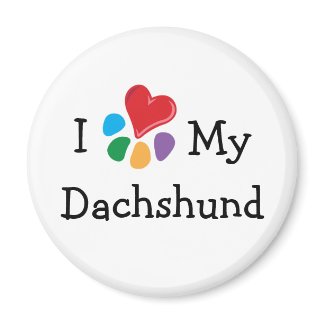Animal Lover_I Heart My Dachshund magnet