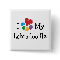 Animal Lover_I Heart My Labradoodle buttons