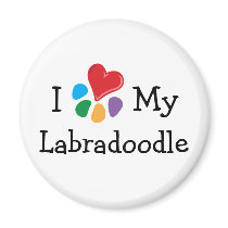 Animal Lover_I Heart My Labradoodle magnets