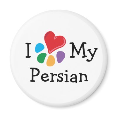 Animal Lover_I Heart My Persian Magnet by Artful_Animalz