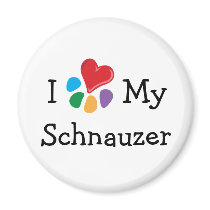 Animal Lover_I Heart My Schnauzer magnets