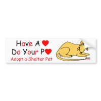 Animal Lover's Message bumpersticker