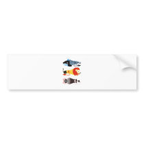 Animal megaphone…Fish cat woman (ANIMAL MEGAPHONE  Bumper Sticker
