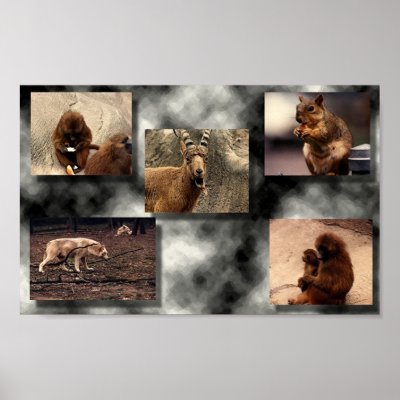 Animal Montage Print by dvalen