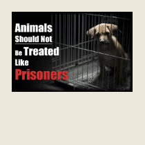 Animal Not Prisoner (back) Shirt