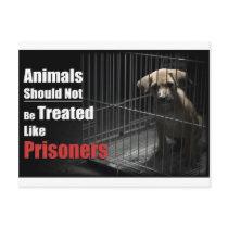 Animal Not Prisoners Postcard