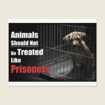 Animal Not Prisoners Postcard