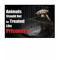 Animal Not Prisoners t-shirts by ngothyeaun Animal Not Prisoners t-shirts