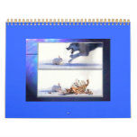 ANIMAL of 2011 Calendar
